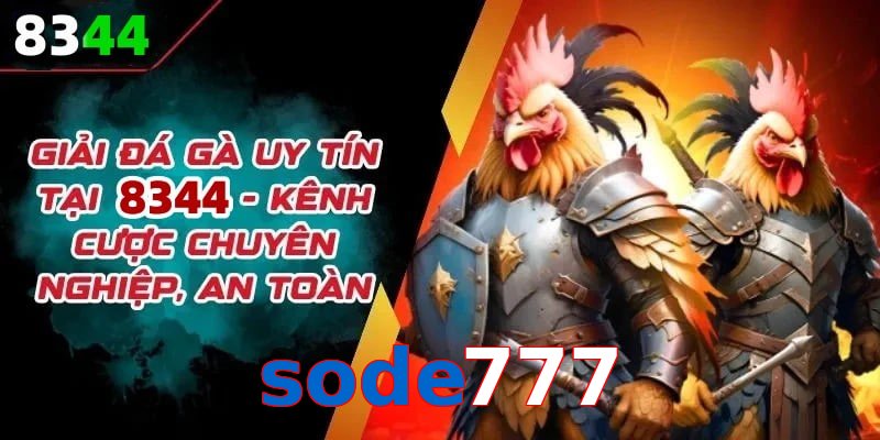 Đơn vị đồng hành cùng đá gà sode777
