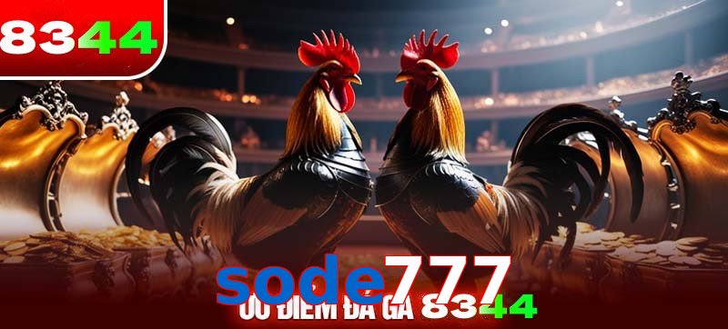 Thể loại đá gà sode777 được ưa chuộng